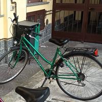 Bici uomo 26