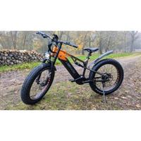 Mountain bike MTB elettrica lankeleisi rv800 plus