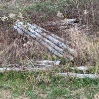 Pali in castagno scortecciati per recinzioni