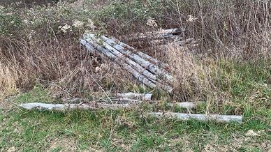 Pali in castagno scortecciati per recinzioni