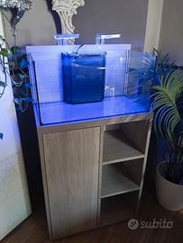 Acquario completo