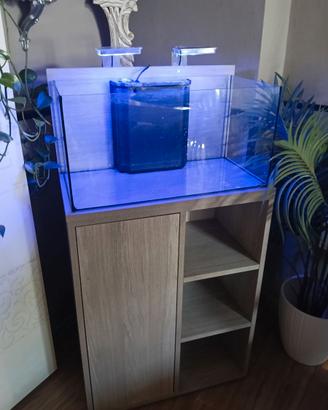 Acquario completo