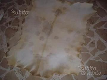 Pelle di capra conciata per tamburi