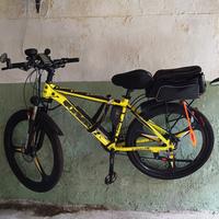 Bici elettrica 