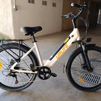 bicicletta elettrica 