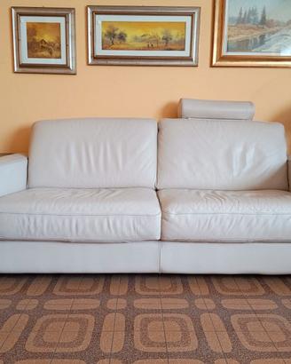 Divani in pelle