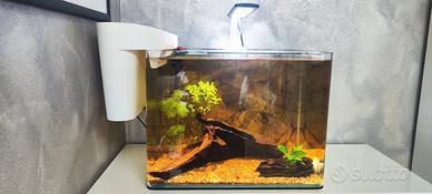 Acquario Amtra Nanotank System 36 con Filtro Oase 