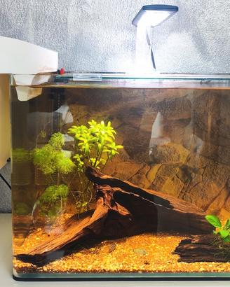 Acquario Amtra Nanotank System 36 con Filtro Oase 