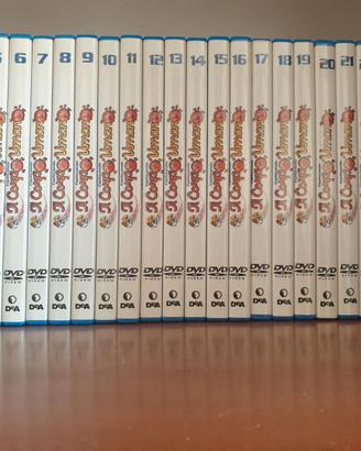 Collana "Esplorando il corpo umano" libri+DVD