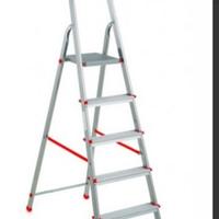 Scala domestica