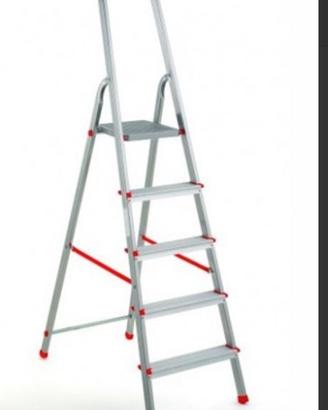 Scala domestica
