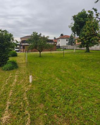 Terreno coltivabile