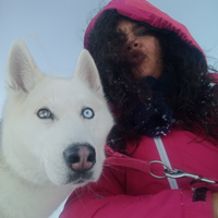 Vendita Husky