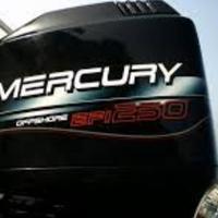 Mercury EFI 250 Tutti i Ricambi