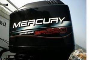 Mercury EFI 250 Tutti i Ricambi