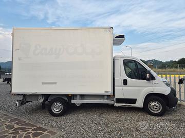 FIAT DUCATO FRIGO ANNO 2019