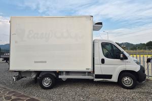 FIAT DUCATO FRIGO ANNO 2019