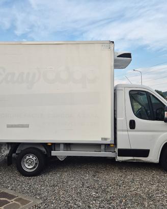 FIAT DUCATO FRIGO ANNO 2019