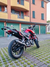 Benelli bn 251 scarico arrow