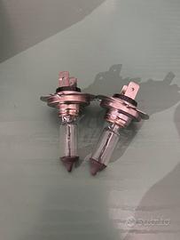 Lampadine Volkswagen Polo 2021