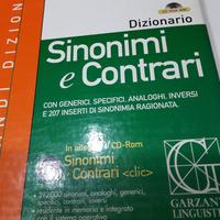 dizionario 