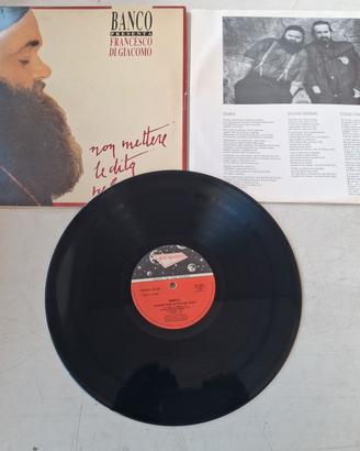vinile 33 giri 
