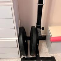 Dischi olimpionici 10kg gommati