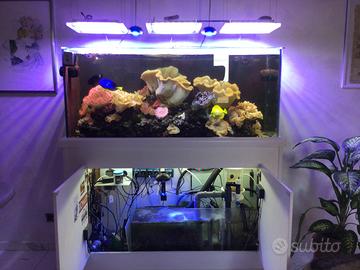 Acquario completo