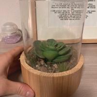 Vaso in vetro arredo