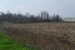 Terreno di 11820 m² a Busano