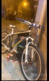 Bici mtb