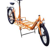 Cargo Bike Lunga Bicicletta da Carico NUOVA