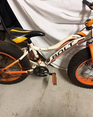 Fat Bike