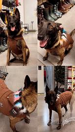 Svendita cappottini,felpe tutte le taglie