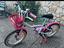 Immagine 2