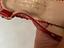 Immagine 4