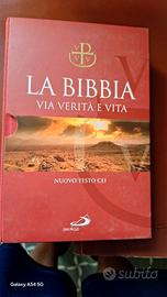 bibbia via verità e vita nuovo testo cei