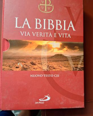 bibbia via verità e vita nuovo testo cei