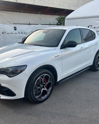 ALFA ROMEO Stelvio 2.2 T.diesel 210CV AT8 Q4 Veloc