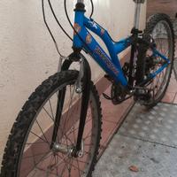 Bici da ragazzo