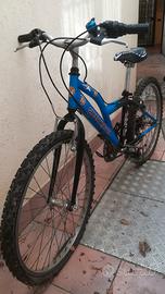 Bici da ragazzo