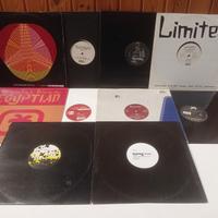 LOTTO 20 MIX 12" HOUSE