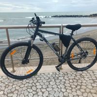Cannondale trail 6