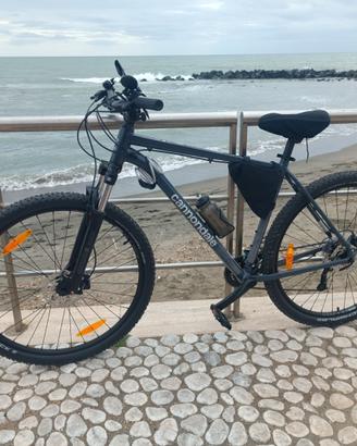 Cannondale trail 6