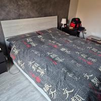 Letto Matrimoniale con contenitore 