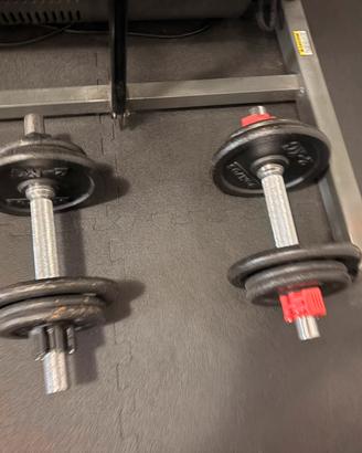 Manubri 10 kg
