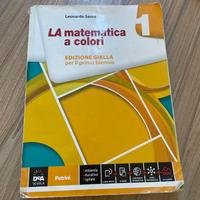 La matematica a colori 1 ed gialla