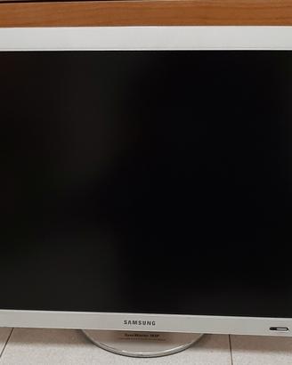 Monitor samsung 193p s