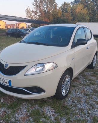 Lancia Ypsilon 1.2 69 CV 5 porte Platinum