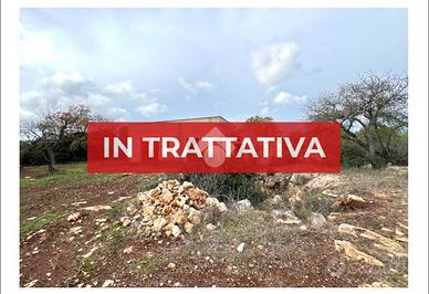 CASA DI CORTE A CEGLIE MESSAPICA